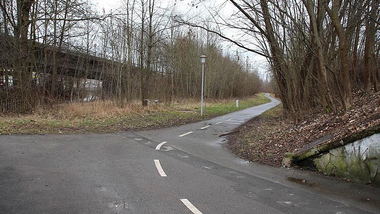 An diesem Rad-/Fußweg zwischen Gaudlitz-Kreuzung und Kanonenweg liegt der Fundort. Foto: CT-Archiv / Ulrike Nauer