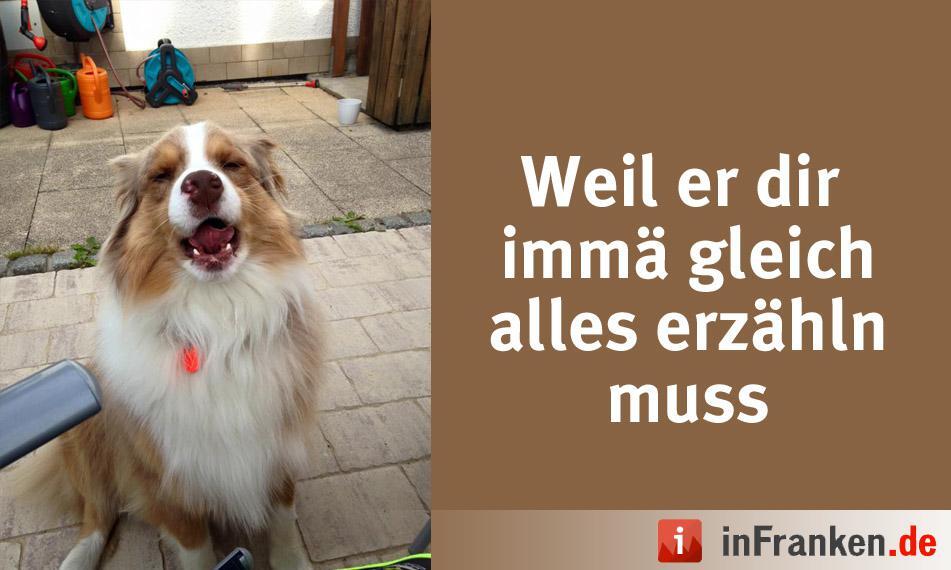 Foto: Christin Hammon