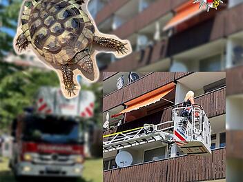 Lauf: Kripo macht "erschreckende Entdeckung" auf Balkon - au&szlig;ergew&ouml;hnliche Rettungsaktion