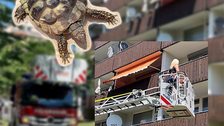 Lauf: Kripo macht "erschreckende Entdeckung" auf Balkon - au&szlig;ergew&ouml;hnliche Rettungsaktion