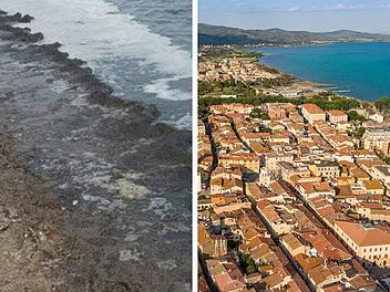 Badeort in Italien leidet unter Mücken- und Riesenspinnen-Plage