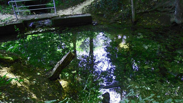 Spiegelungen an der Friesenquelle Foto: Katrin Geyer