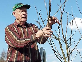 Eine wertvolle Unterstützung für die Hobbygärtner ist Baumwart Hans Vetter aus Windheim. Bereits über vierzig Jahre bringt er Obstbäume auf Vordermann. In wenigen Wochen wird er sein Können wieder unter Beweis stellen.  Foto: Gerd Fleischmann