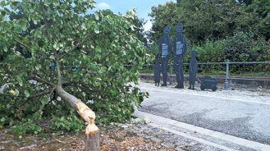 Der gef&auml;llte Obstbaum an der Schleuse 100  Foto: jb