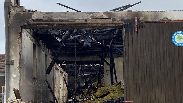 Großbrand in Lagerhalle: Hopfenlager in Flammen