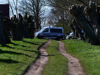 Buckelwal liegt weiter in Wismarbucht