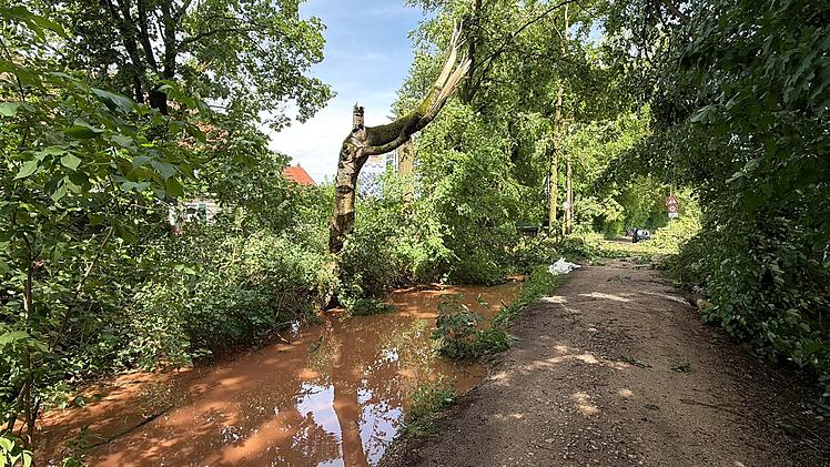 Heftige Gewitterfront trifft Mittelfranken: B&auml;ume st&uuml;rzen auf H&auml;user - Deutscher Wetterdienst warnt vor weiteren Gewittern