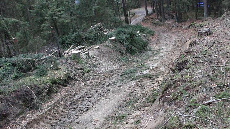 Der bisherige Weg von den "7 Fuhren" auf den Rainberg ist in einem sehr schlechten Zustand.  Foto: Friedwald Schedel