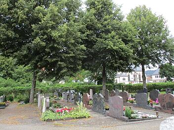 Der sog. Honigtau von den Linden im neuen Friedhof in Steinwiesen ärgert so manchen Bürger.Susanne Deuerling