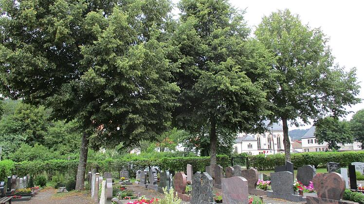 Der sog. Honigtau von den Linden im neuen Friedhof in Steinwiesen ärgert so manchen Bürger.Susanne Deuerling