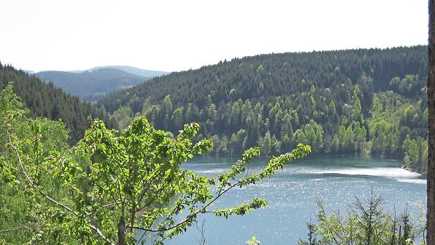 Die K&ouml;deltalsperre ist eines der Wanderziele im Walderlebnis-Programm. Foto: Archiv/Staatsforsten