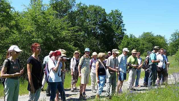 Seltene Pflanzen entdeckten die Teilnehmer der botanischen Exkursion im Naturschutzgebiet Reiterswiesener H&ouml;he. Es war im Jahr 2000 ausgewiesen worden. W. Hartmann
