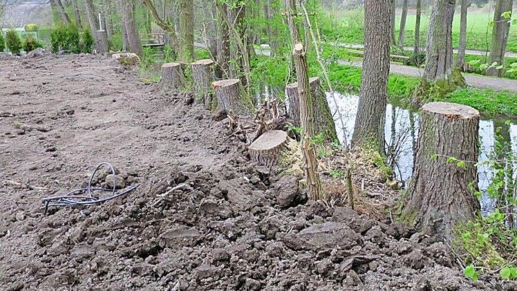 Sieben Baumstümpfe entlang des Flüsschens in Weismain. Auf die Fällaktion, die vor zirka 14 Tagen "In der Au" begonnen wurde, machten verärgerte Bürger den Bund Naturschutz aufmerksam.  Foto: privat
