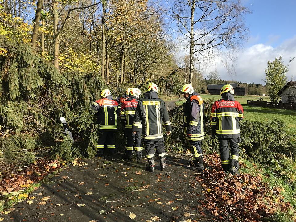 Feuerwehr in Oberfranken nach Sturmtief Herwart im Dauereinsatz