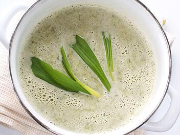 baerlauch-petersilien-suppe.jpg