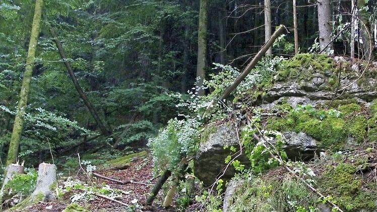 Der Halt der Felsbrocken muss gewährleistet bleiben.