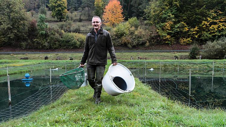 Matthias Lederer betreibt mit seiner Frau die Forellenzucht Juratal bei Weismain. Er verkauft seine Fische auf Märkten oder an Gastronomiebetriebe.  Fotos: Matthias Hoch