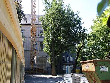 Das Gebäude Goethestraße 1 (rechts zu erkennen) soll einen Teil des Kinderhauses aufnehmen. In den unmittelbar benachbarten Bereich der Lutherschule wird das gemeinsame Treppenhaus mit Aufzug eingebaut. Foto: Simone Bastian
