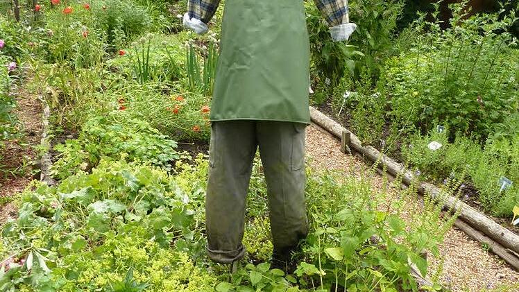 Ein "lustiger Geselle" bewacht das grüne Paradies in Schmölz.