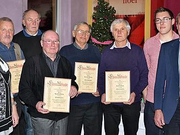 Die langjährigen Mitglieder des 1. FC Altenkunstadt (v.l.): die Ehrenamtsbeauftragte des Bayerischen Fußballverbandes im Spielkreis, Margot Härtlein, Johann Pol, Siegfried Orlowski, Rudolf Geißler, Richard Herbst, Rudolf Funke, Zweiter Vorsitzender Johannes Oppel und der Vorsitzende des Fusionsvereins Robert Hümmer  Foto: Dieter Radziej