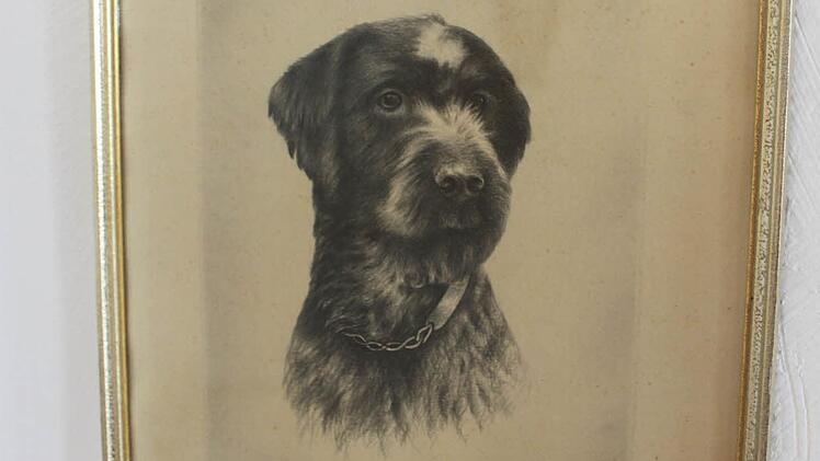 Friedrich Baurs Hund Foto: R. Popp