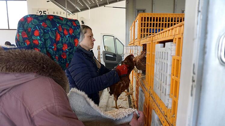 Die braunen Hühner des Geflügelhofes Dorn waren begehrt. Foto: Richard Sänger