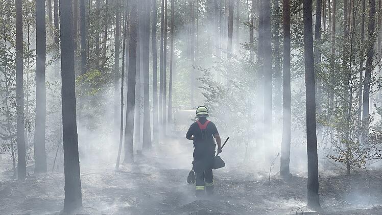 Strullendorf: Waldbrand im Landkreis Bamberg - "Wären nicht zurechtgekommen"