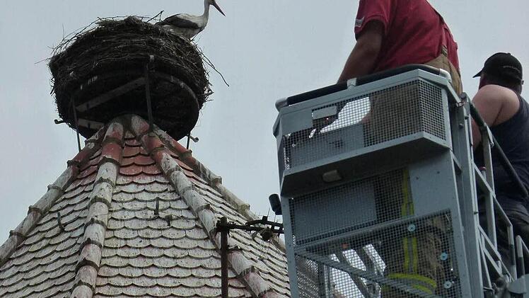 Letztlich ist die Aktion Storchenhilfe voll gelungen. Foto: Lothar Weidner