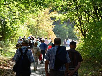 Die Wandergruppe unterwegs durch den Herbst.Arthur Stollberger
