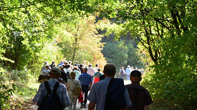 Die Wandergruppe unterwegs durch den Herbst.Arthur Stollberger