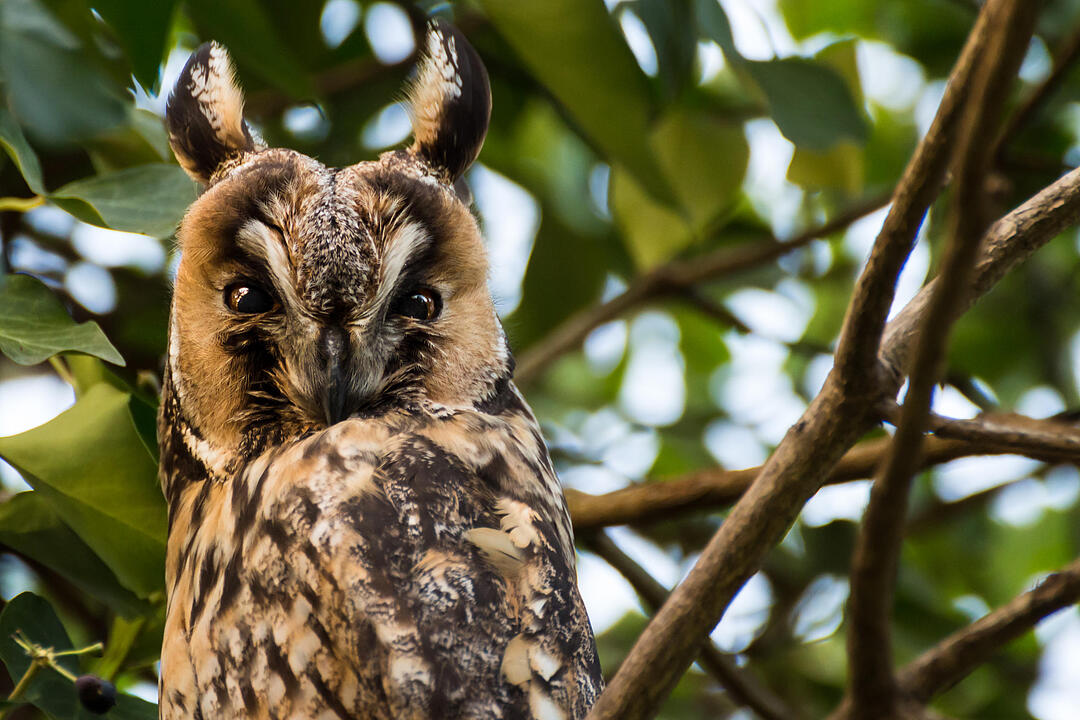 Fotos Konrad Thomann