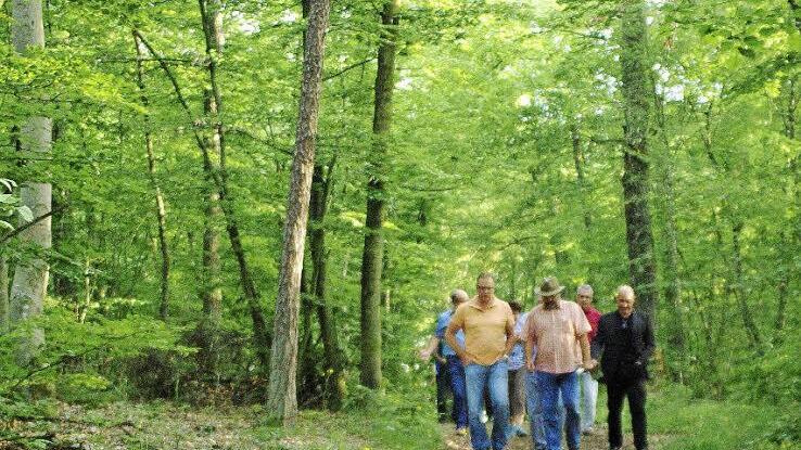 Neben dem Kohlenberg ist das Waldstück zwischen diesem und den Fuchsstädter Weinbergen eine Option für einen Waldfriedhof, wie die Ortseinsicht des Gemeinderats bestätigte. Foto: W. Ehling
