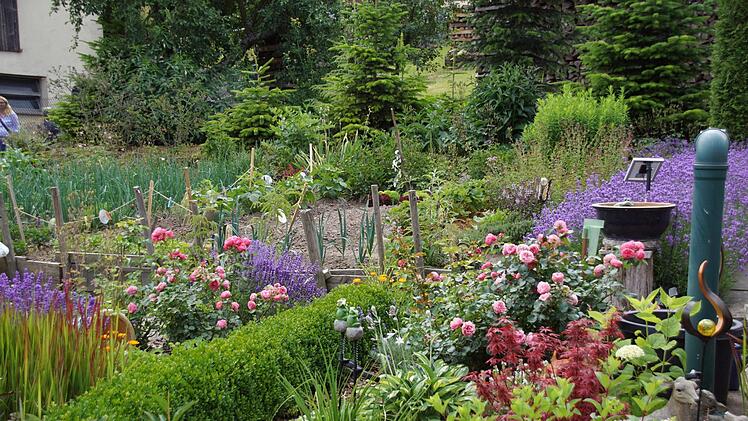 Ein Nutzgarten wie aus dem Bilderbuch - Gemüse, Salat und Blumen in bunter Eintracht. Foto: Sabine Weinbeer
