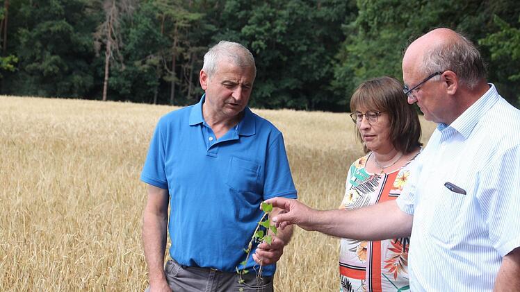Landwirt Günter Fensel (li.) klärt Horst Krehn, Leiter des Landwirtschaftsamts, sowie die stellvertretende Landrätin Gabriele Klaußner über seine Ernteerträge auf.Hendrik Kowalsky