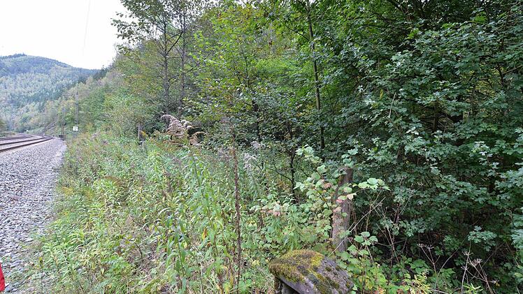 Der ehemalige Grenzverlauf ist fast vollständig zugewachsen.  Foto: Ronald Rinklef
