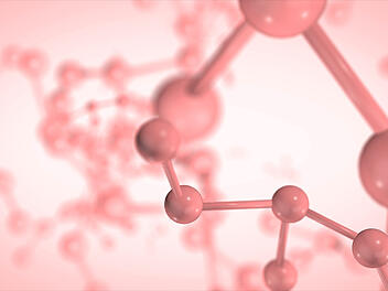 Hormone, Körper