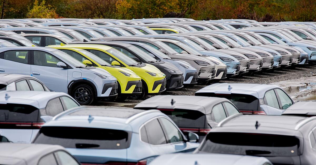 BYD, Leapmotor & Co.: Günstige China-Autos teuer in der Versicherung?
