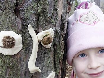 Kindern und Jugendlichen wie der kleinen Maria (im Bild) die Zusammenhänge in der Natur näherzubringen, ist eine wichtige Aufgabe des Vereins Naturpark und Biosphärenreservat Rhön.