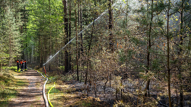 Erlangen: Großflächiger Waldbrand im Tennenloher Forst - jetzt ermittelt die Kriminalpolizei
