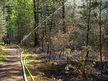 Erlangen: Großflächiger Waldbrand im Tennenloher Forst - jetzt ermittelt die Kriminalpolizei