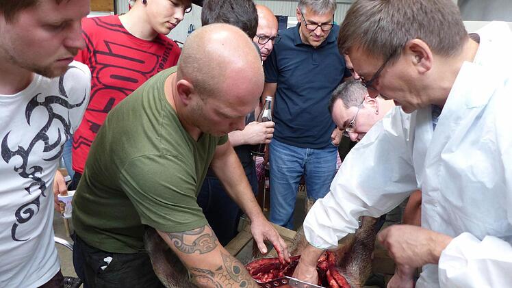 Unter den wachsamen Augen von Veterinärmediziner Werner Hornung (rechts) zeigt Gastgeber Christian Wilhelm (links) wie die Entnahme der Trichinenprobe am Zwerchfellpfeiler beim Wildschwein funktioniert. Foto: Christian Ziegler