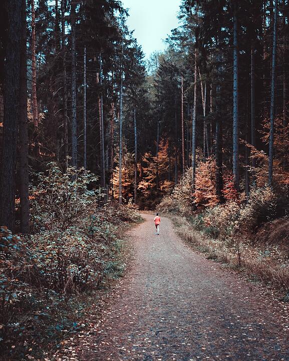Die schönsten Fotos im Herbst aus Coburg und Umgebung
