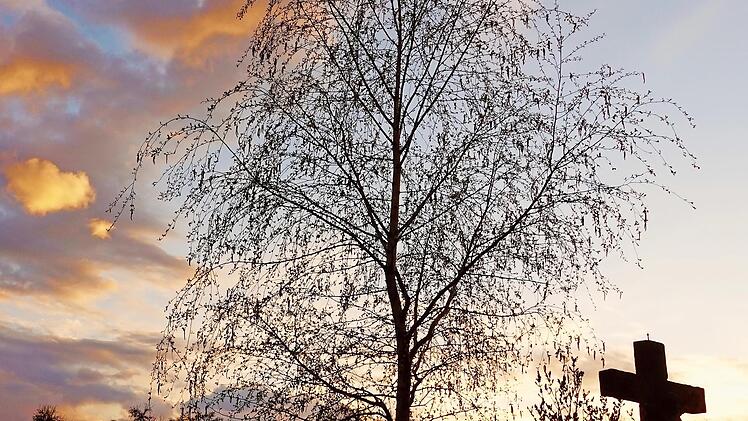 Unterwegs wurden in der Regel „Stationen“, etwa an Feldkapellen oder Wegkreuzen, gehalten, wo aus der Bibel gelesen und Fürbitte gehalten wird.