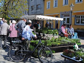 Es grünt so grün wenn Ebermannstadts Frühlingsmarkt erblüht.