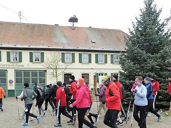 Am Marktplatz in Mühlhausen machten sich Läufer und Walker gemeinsam auf den Weg, um ihre zehn und 6,7 Kilometer langen Strecken zu bewältigen.  Fotos: Britta Schnake