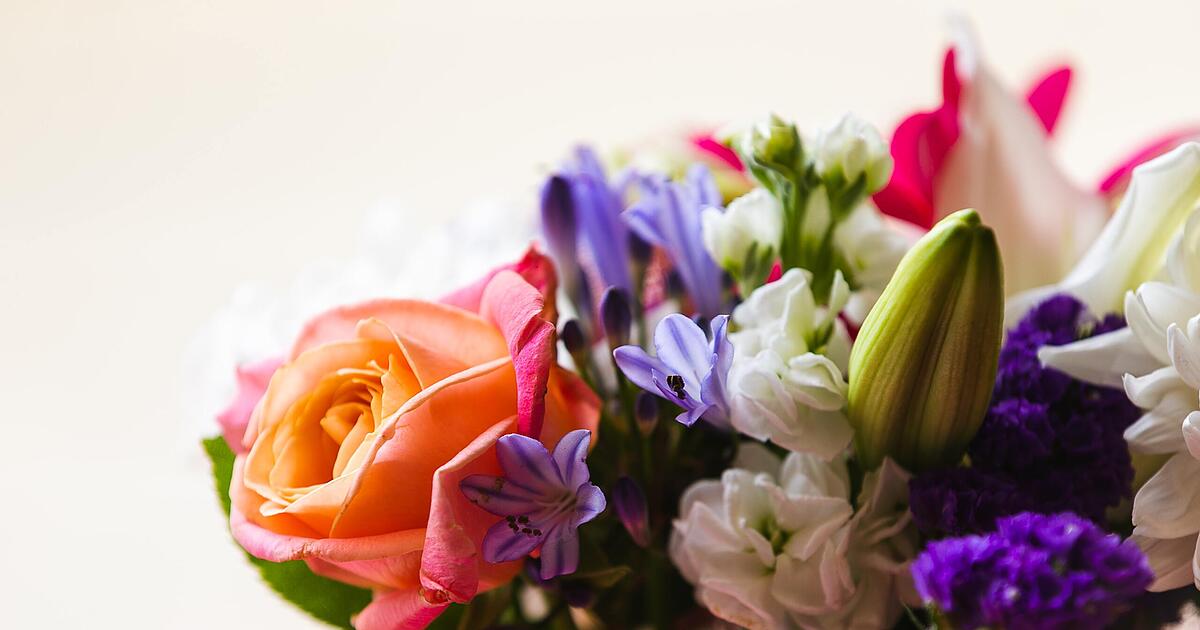Schnittblumen Langer Frisch Halten 10 Tricks Mit Denen Die Blumen Langer Bluhen