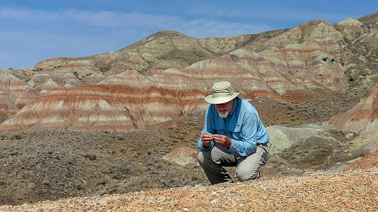 Forscherinnen und Forscher untersuchen Fossilien, um zu lernen, wie fr&uuml;here Hei&szlig;zeiten die Pflanzen und Tiere der Erde beeinflusst hatten.