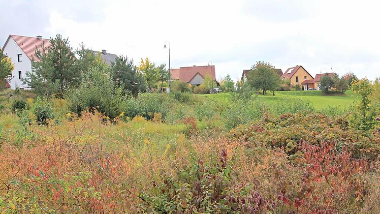 Im Bereich dieser Fläche, am nördlichen Rand des Baugebiets "Mannlehen", wird die Diakonie Bamberg-Forchheim ein Gebäude für eine Pflegeeinrichtung erstellen. Auch eine Erweiterung für eine Kindertagesstätte mit je einer Gruppe für Kindergarten und Kindergruppe soll gleichzeitig geschaffen werden. Foto: Helmut Will