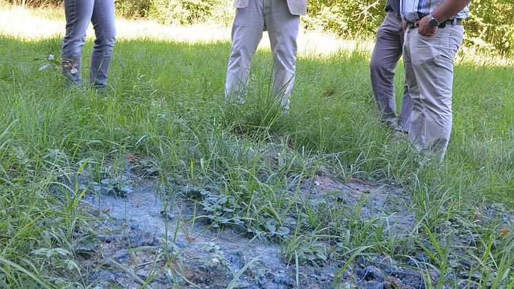 Monika Feibel, Jürgen Wittmann, Thomas Feulner und Stefan Neumann betrachten eine blaue Stelle im Erdreich,