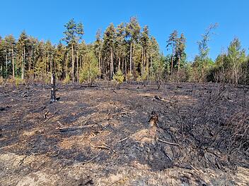 Waldbrand bei Oberhaid